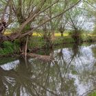 Am Unstrut-Radweg zwischen Thamsbrück und Altengottern