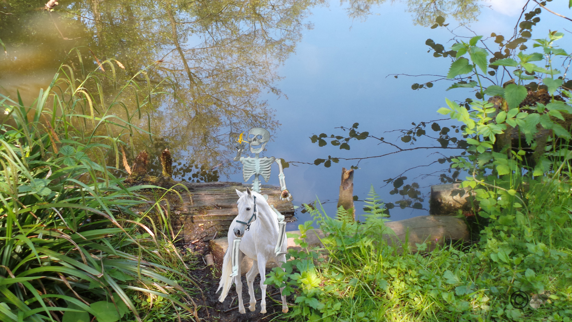 Am Unterbacher See, auch dort sind sie unterwegs