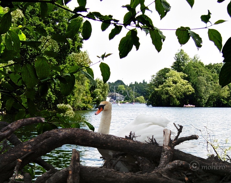  Am Unterbacher See