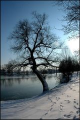 Am Unterföhringer See 3