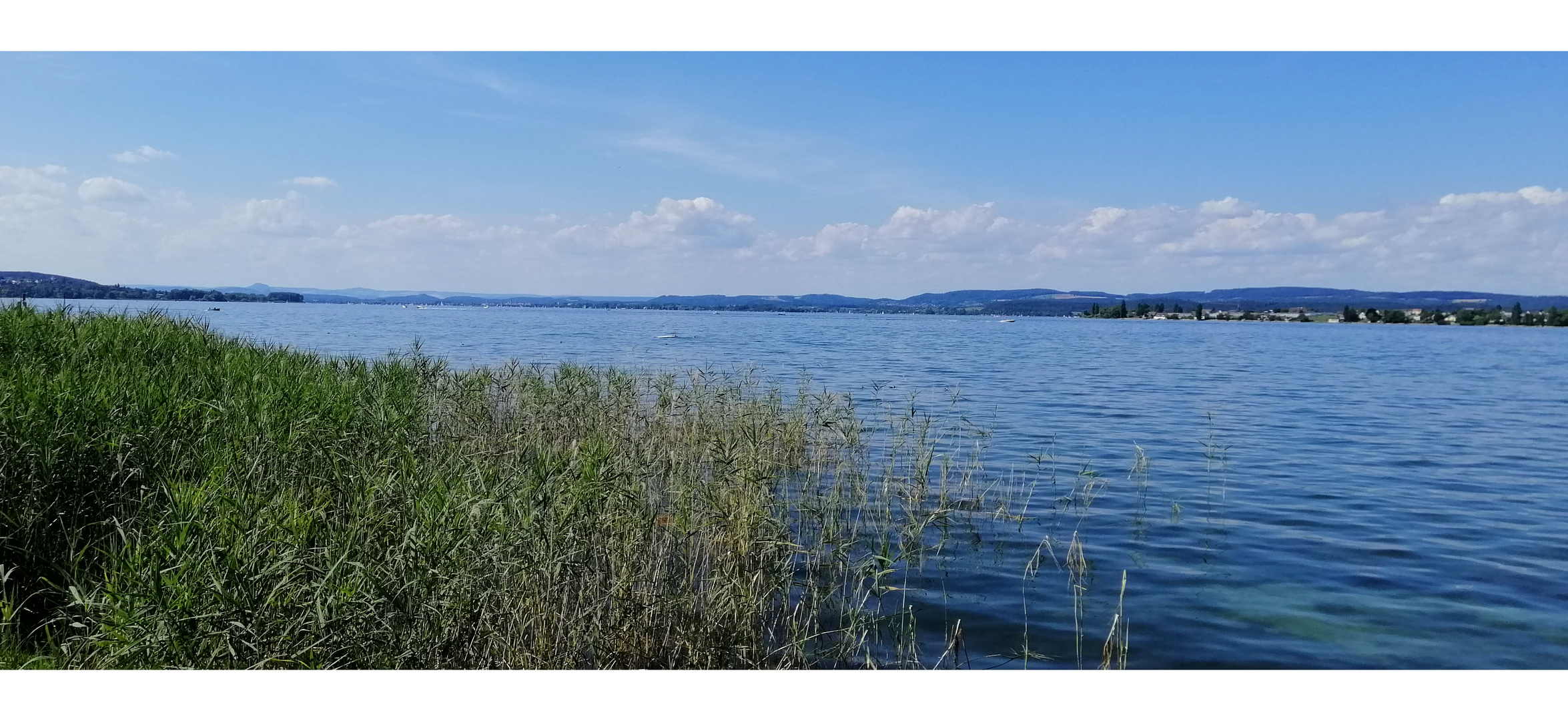 Am Untersee, bei Mannenbach