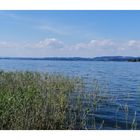 Am Untersee, bei Mannenbach