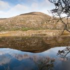 Am Upper Lake im Killarney-Nationalpark