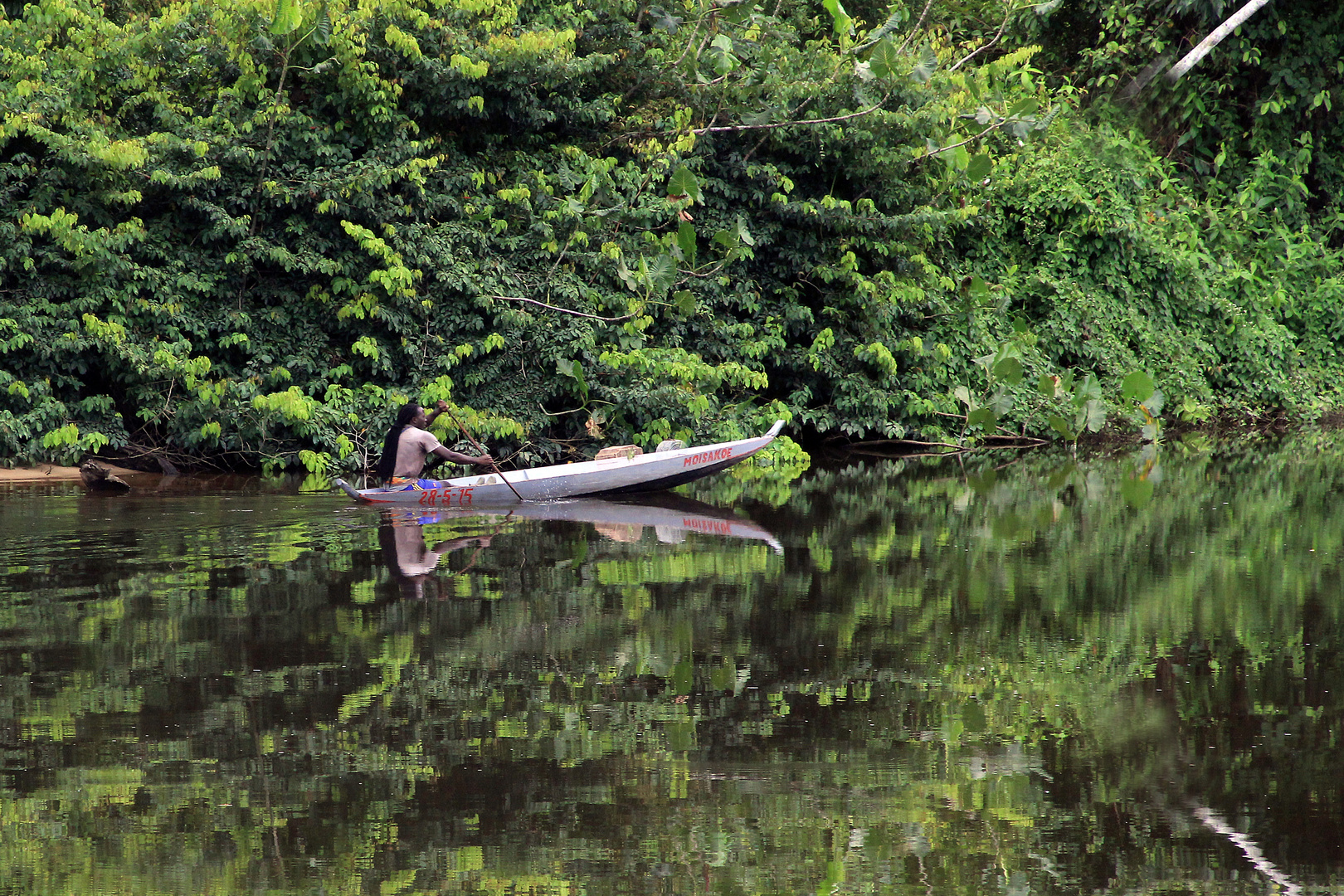 Am Upper Surinam River, Surinam