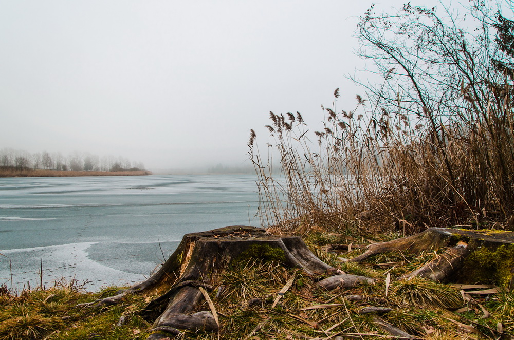 Am Urbansee