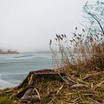 Am Urbansee