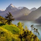 Am Urnersee