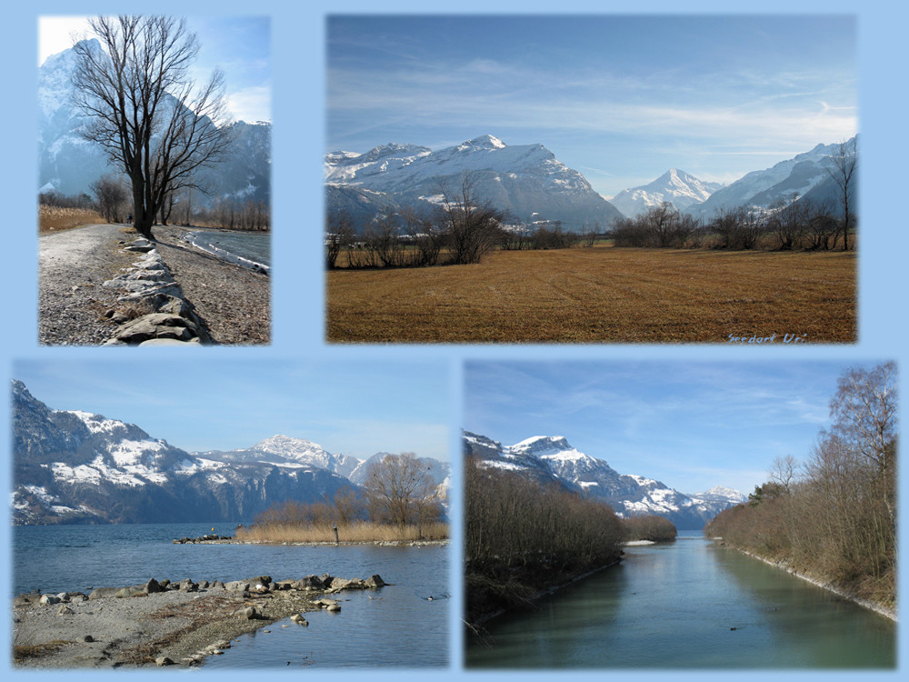 am Urnersee