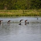 Am Vatertag fast falsch gelandet