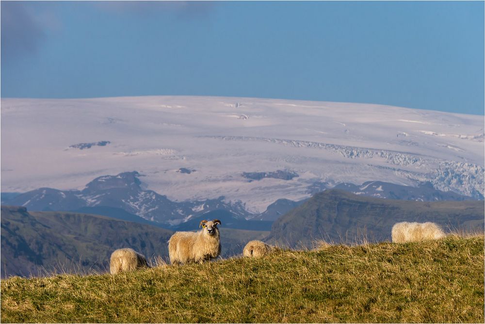 Am Vatnajökull...