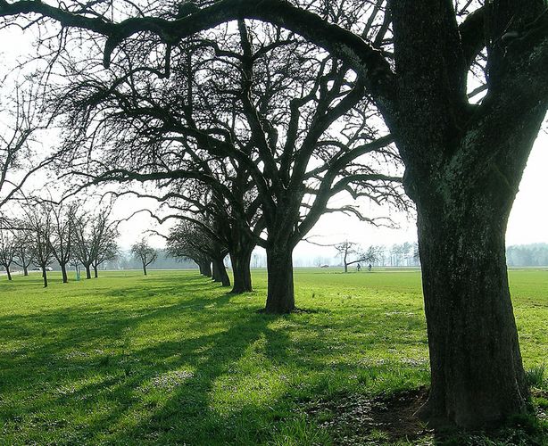 am Veloweg