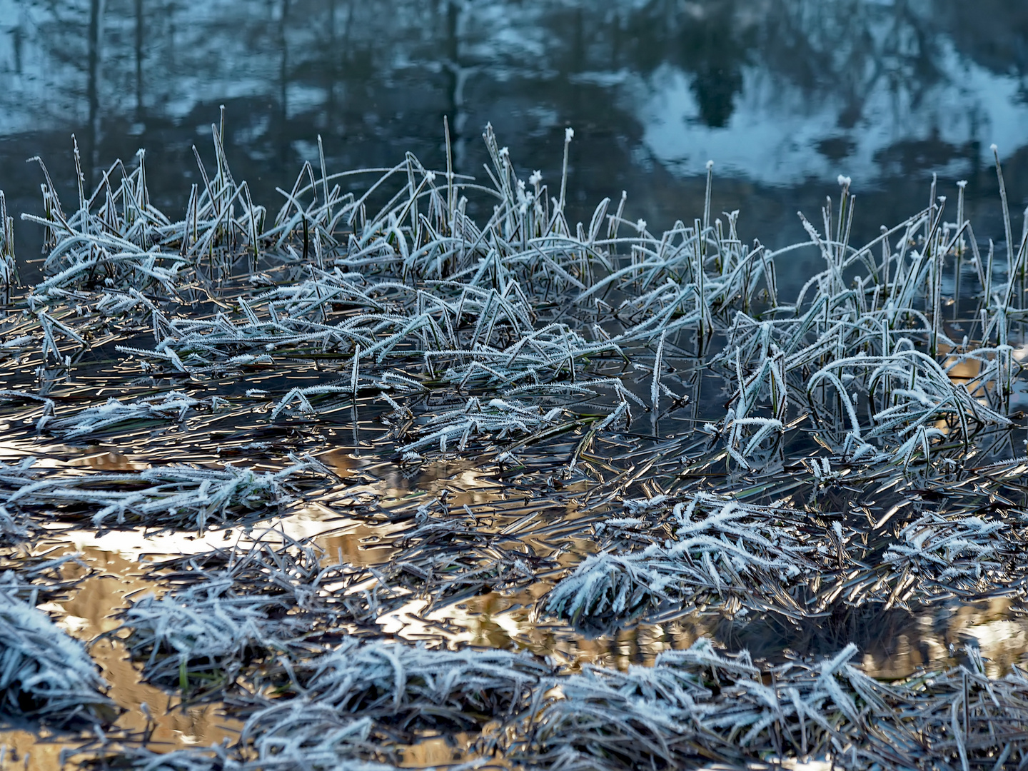 Am vereisten Bergsee...