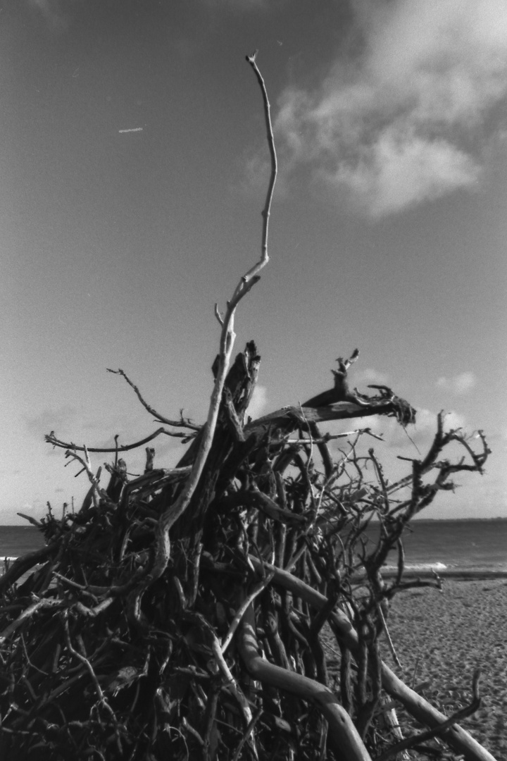 Am vergessenen Strand II