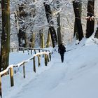 Am "Vergrabenen Bauer" im Branitzer Park bei Cottbus