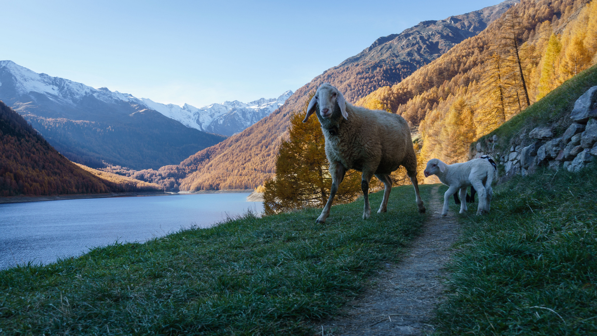 Am Vernagtsee