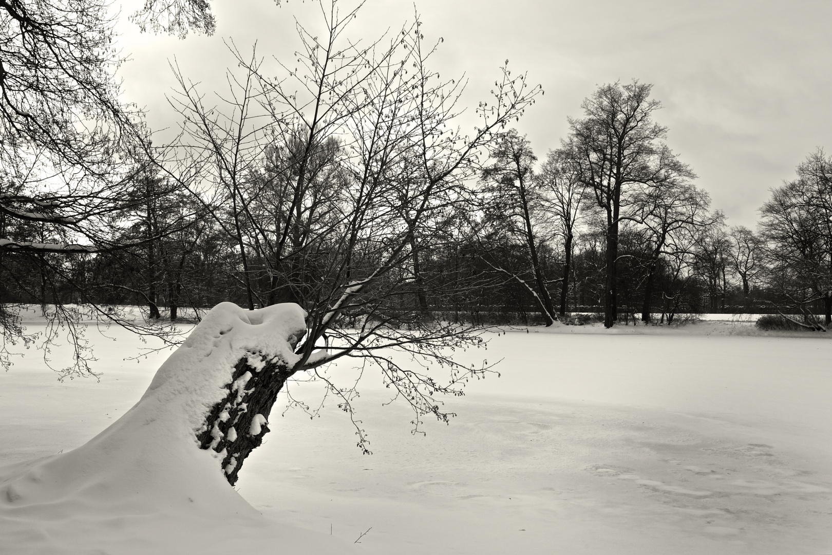 am verschneiten See