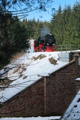 Am Viadukt bei Sophienhof