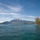 Am Vierwaldstaedtersee