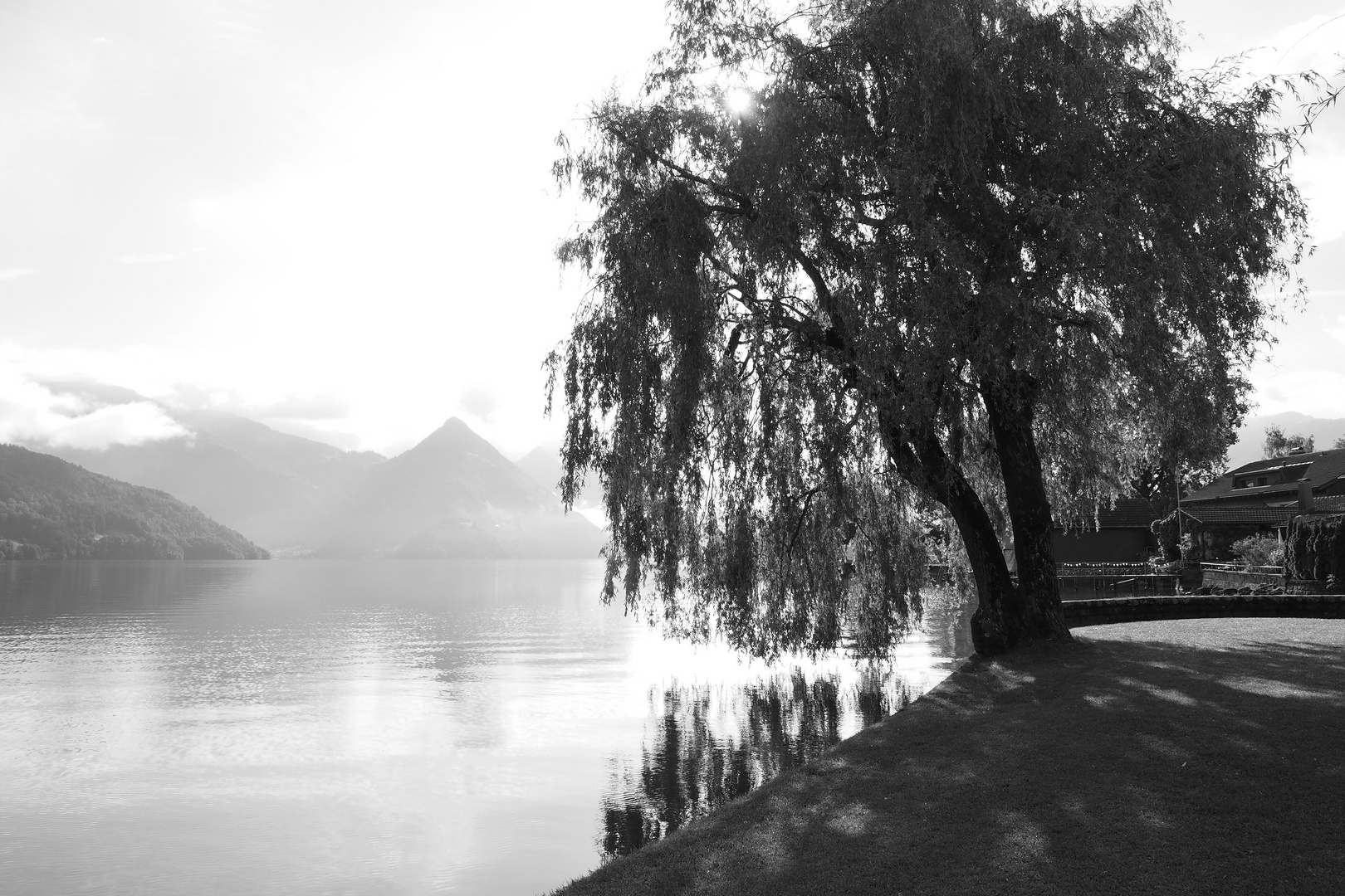 am vierwaldstättersee