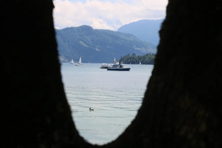 Am Vierwaldstättersee