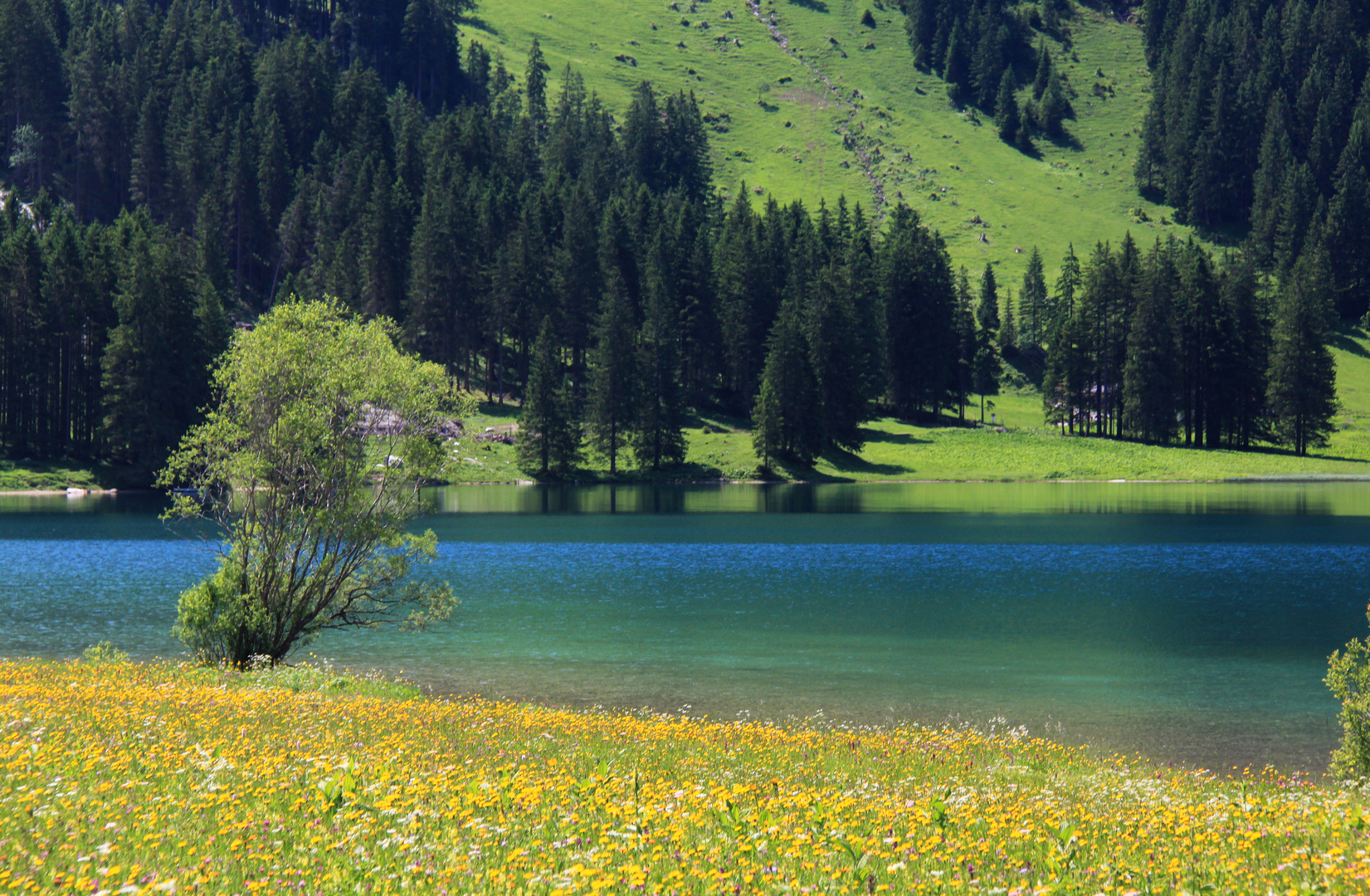 Am Vilsalpsee