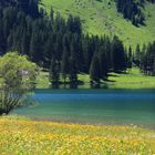 Am Vilsalpsee