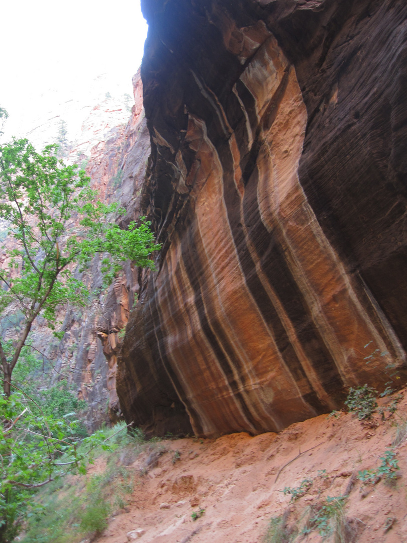 am Virgin River