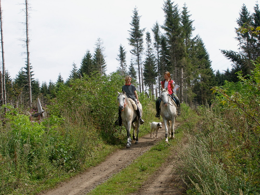 " AM VOGELBERG, IM VOGELSBERG "