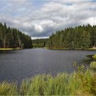 Am Vogtlandsee - 1