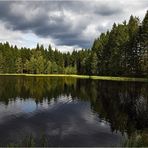 Am Vogtlandsee - 3