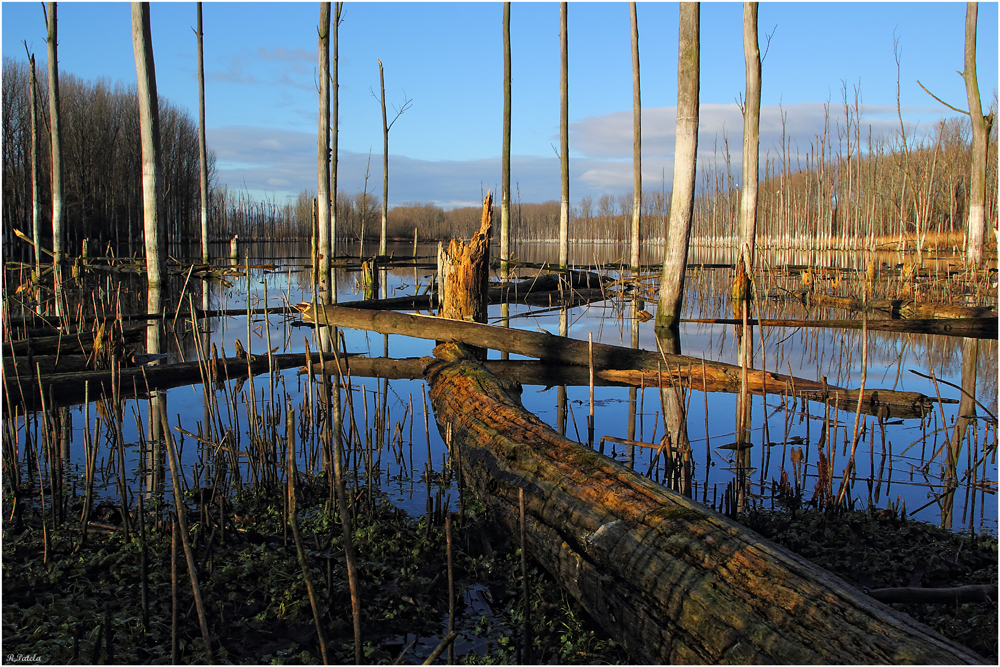 Am Vormittag an der Westerwiese...