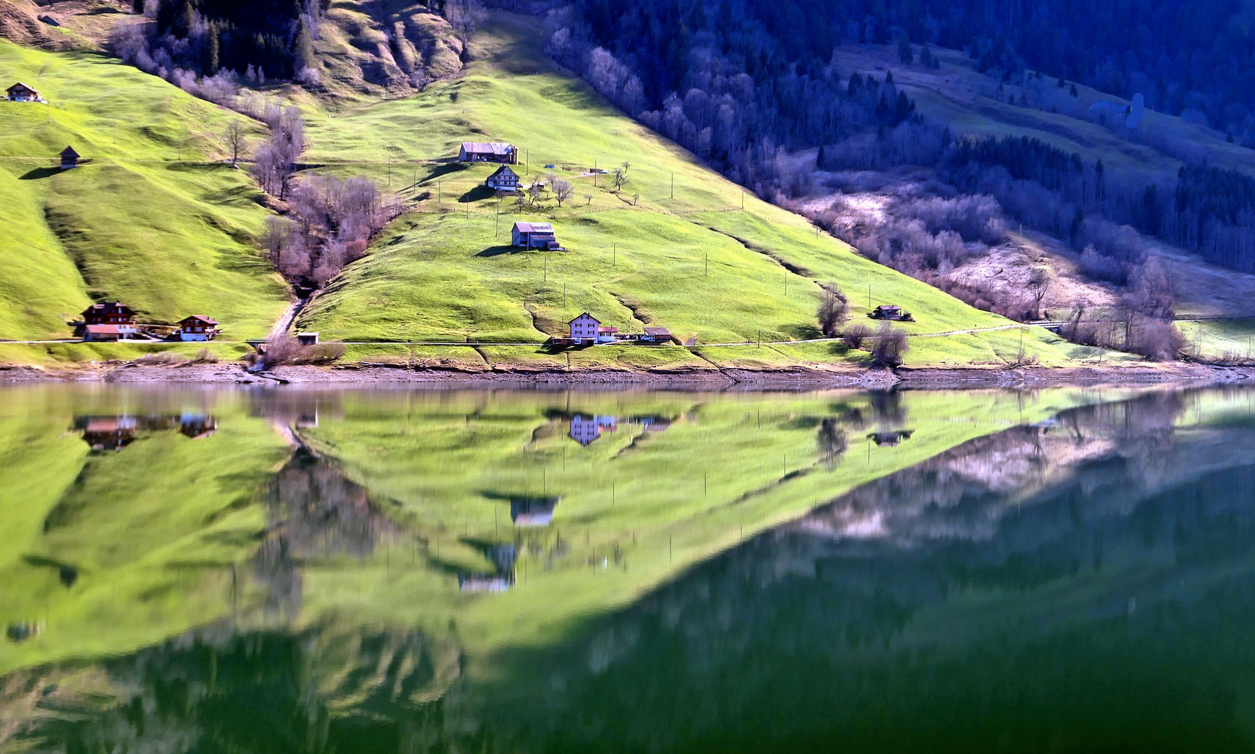 Am Wägitalersee 1