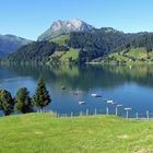 Am Wägitalersee