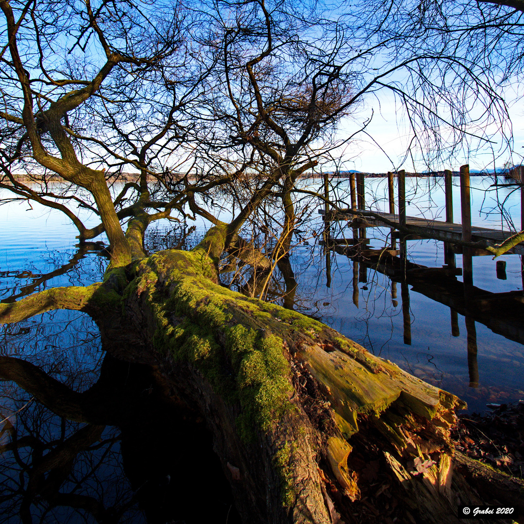 am Waginger See