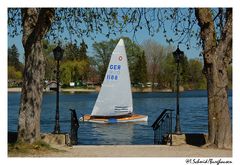 Am Waginger See