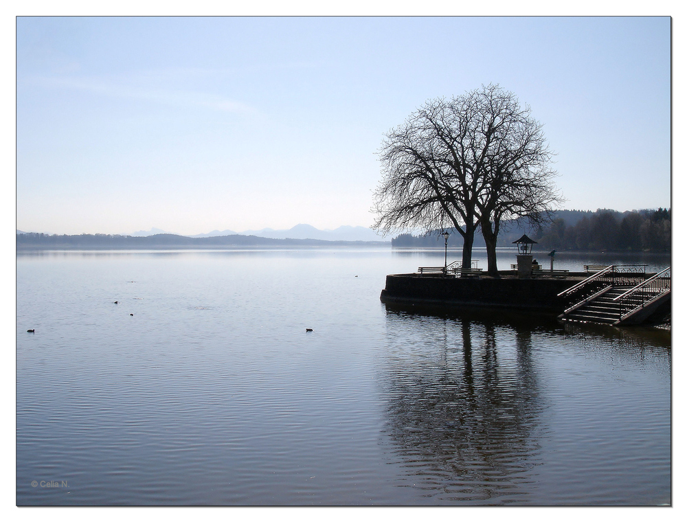 Am Waginger See