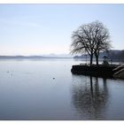 Am Waginger See