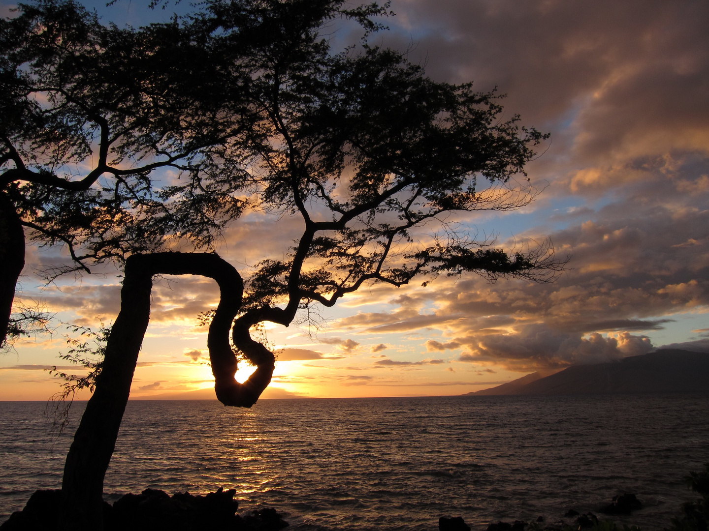 am Wailea Beach Path