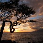 am Wailea Beach Path