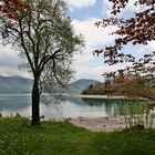 Am Walchensee 2