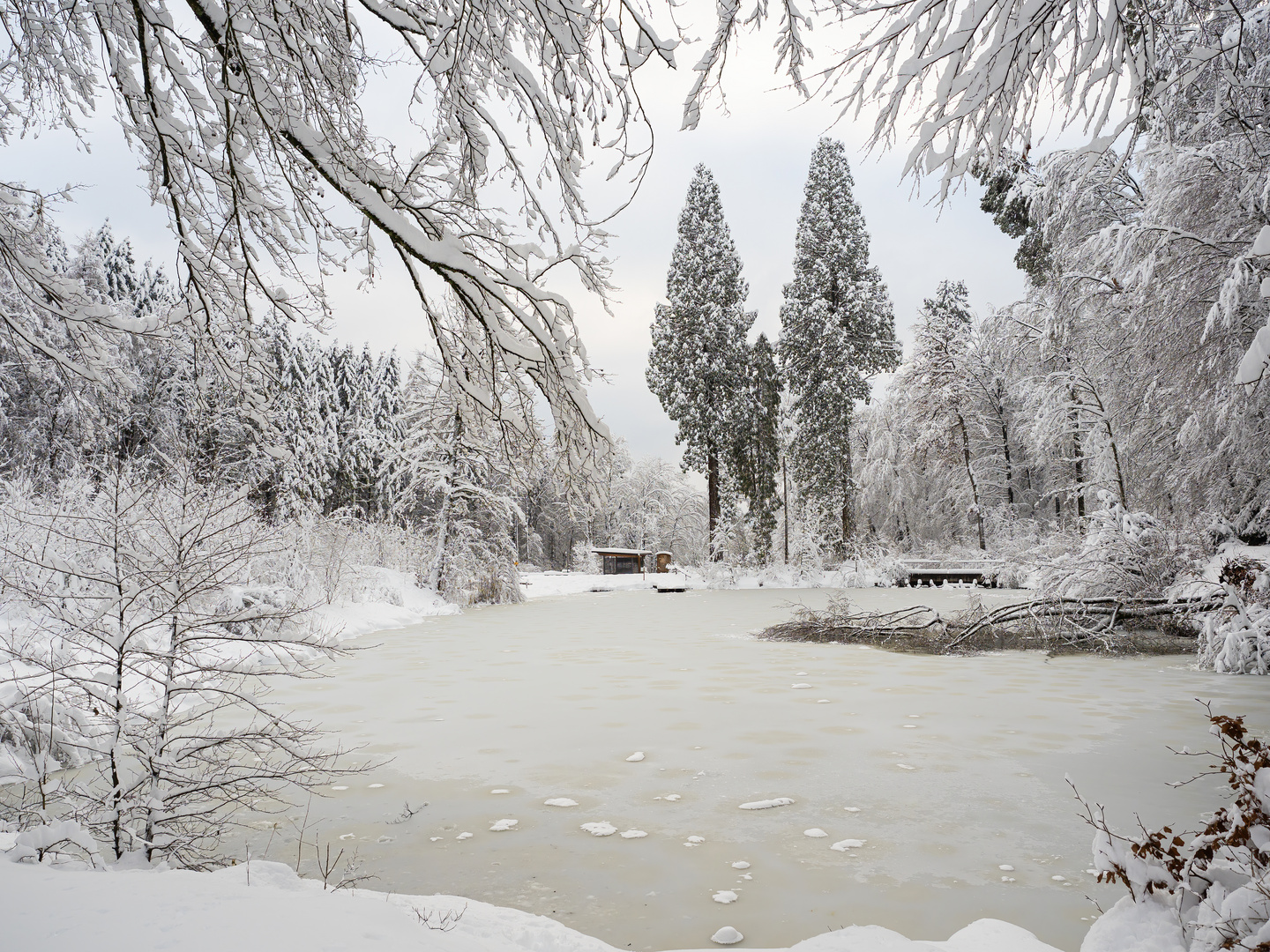 am Walcheweiher