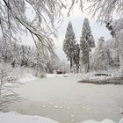 am Walcheweiher