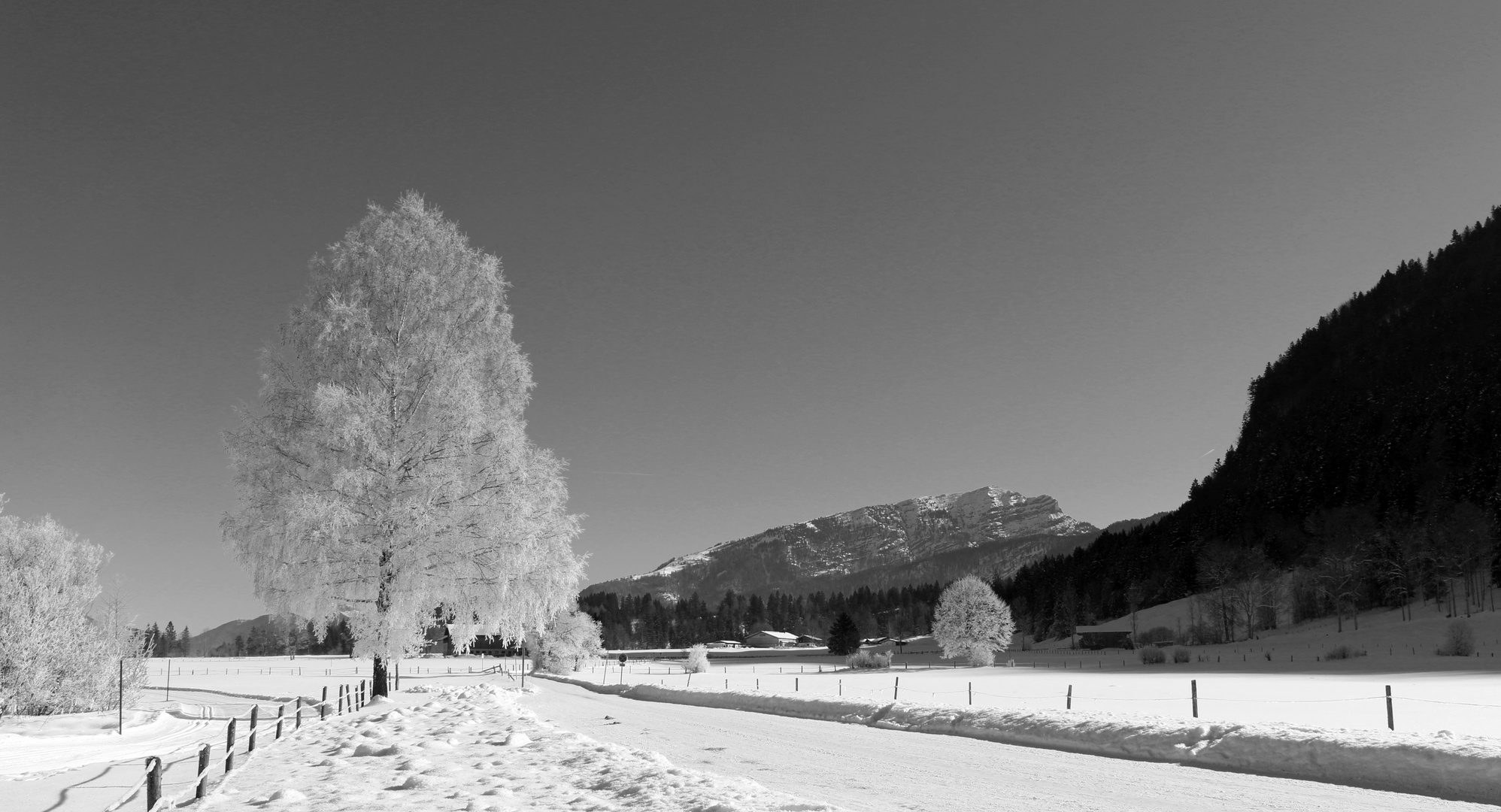 Am Walchsee