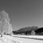 Am Walchsee