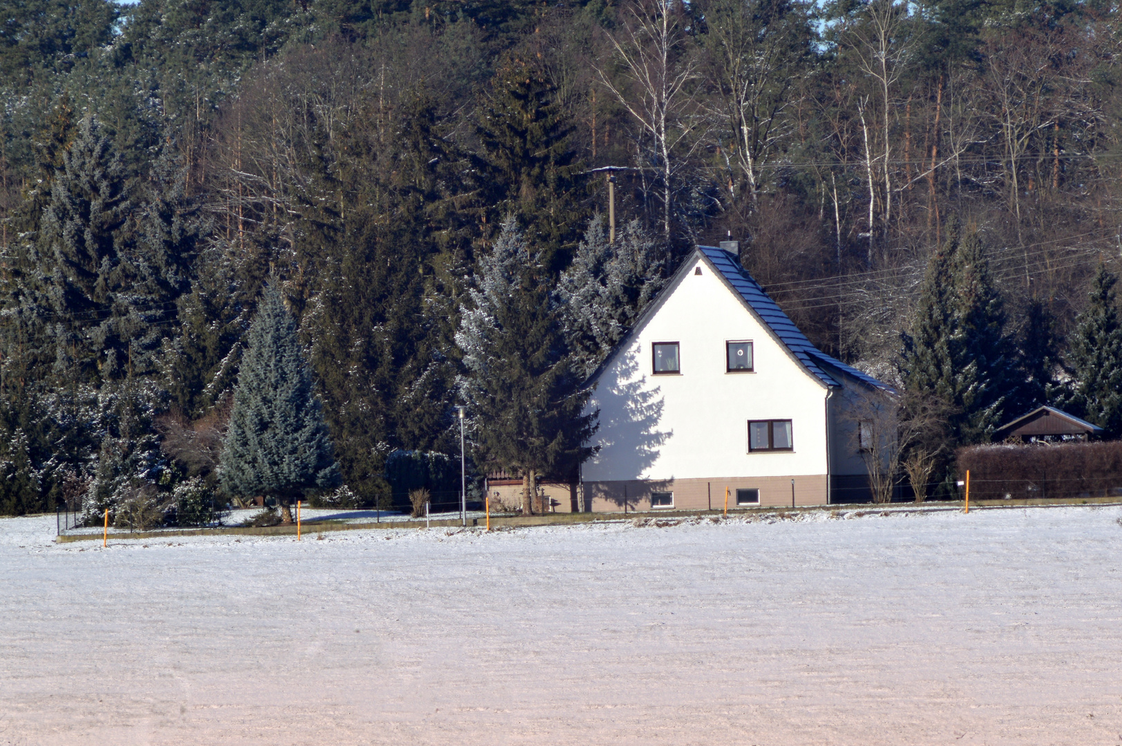 Am Wald