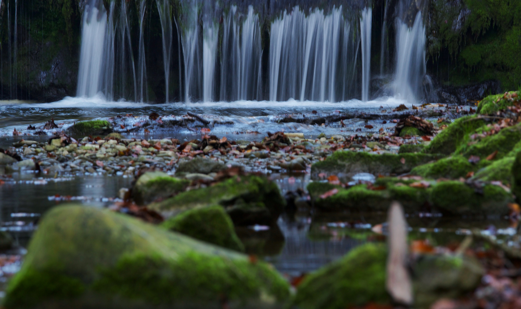 am Waldbach