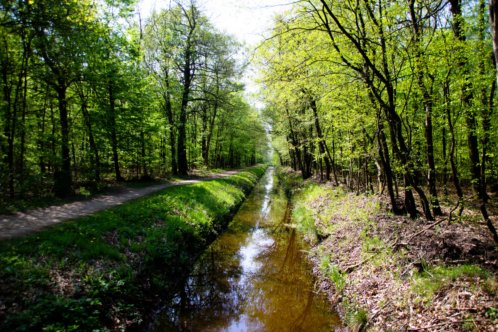 Am Waldbach