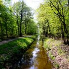 Am Waldbach