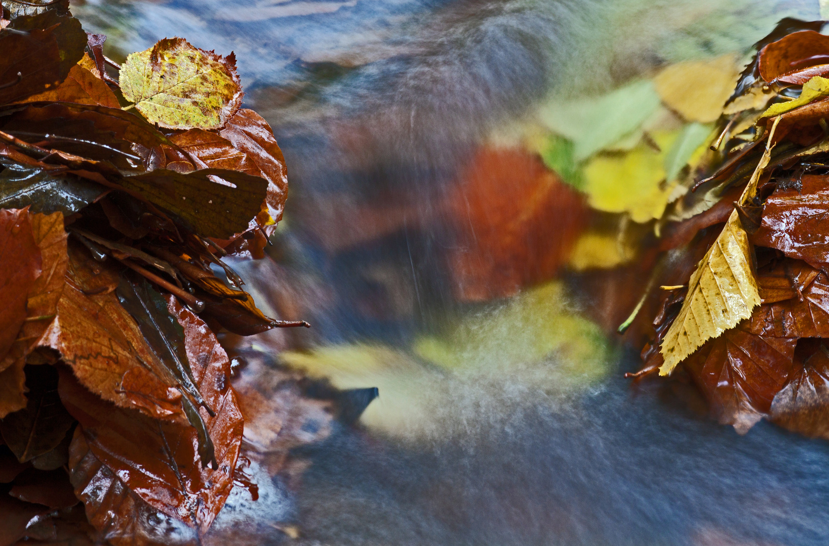 Am Waldbach