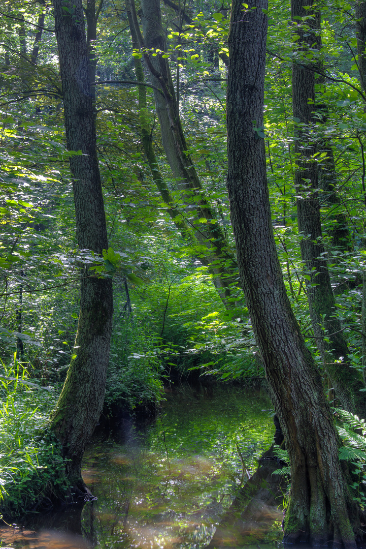 am Waldbach